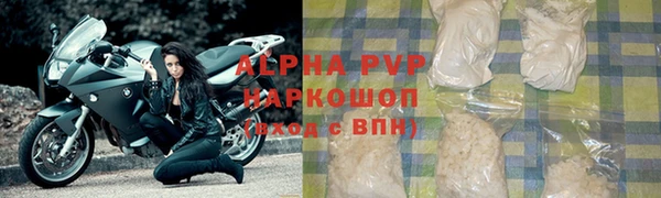 дмт Дмитриев