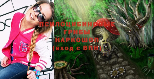 дживик Дмитровск