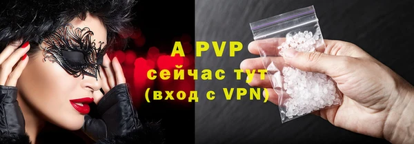 дмт Дмитриев