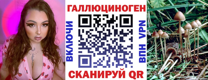 Купить закладки  Минусинск  Галлюциногенные грибы прущие грибы 