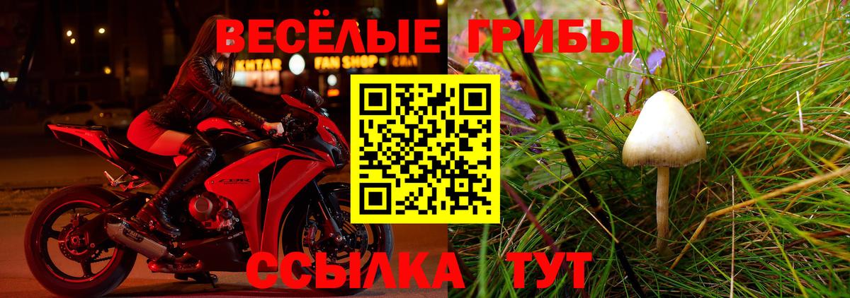 Галлюциногенные грибы GOLDEN TEACHER  Галлюциногенные грибы мицелий  Вход с VPN  Минусинск 