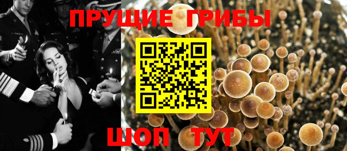 Галлюциногенные грибы мухоморы Минусинск