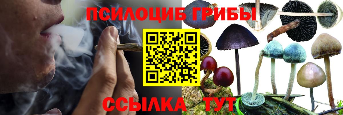 Псилоцибиновые грибы GOLDEN TEACHER Минусинск
